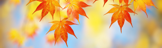 Autumn